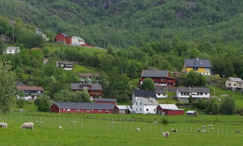 北欧の草原と住宅