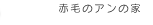 輸入住宅｜赤毛のアンの家